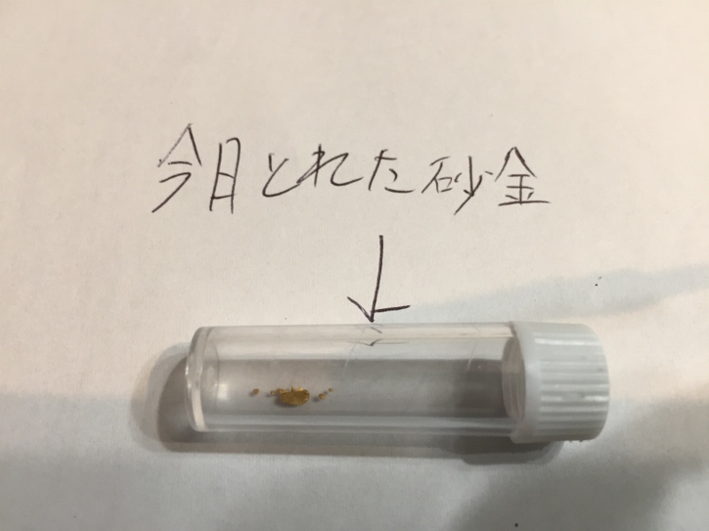 採取した砂金