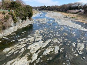 寄居町の荒川