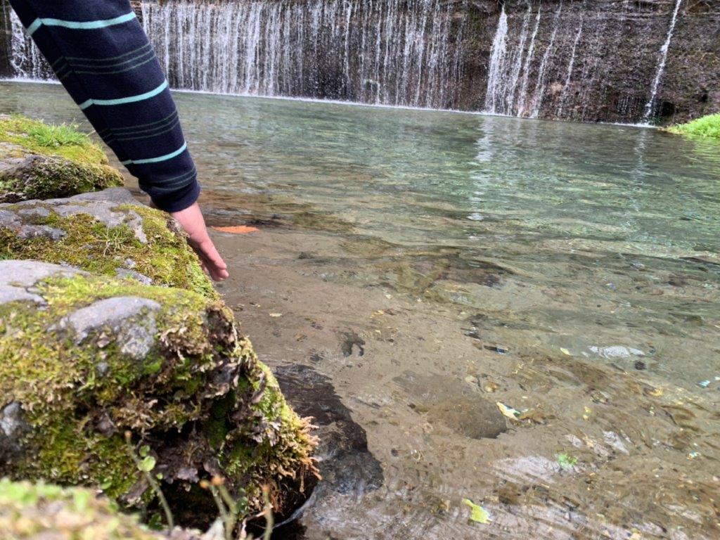 白糸の滝の清流